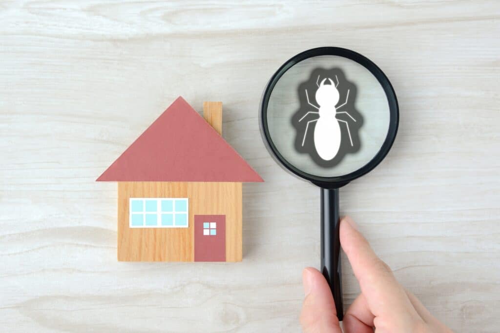 Sell House Bedbugs, Termites or Pests